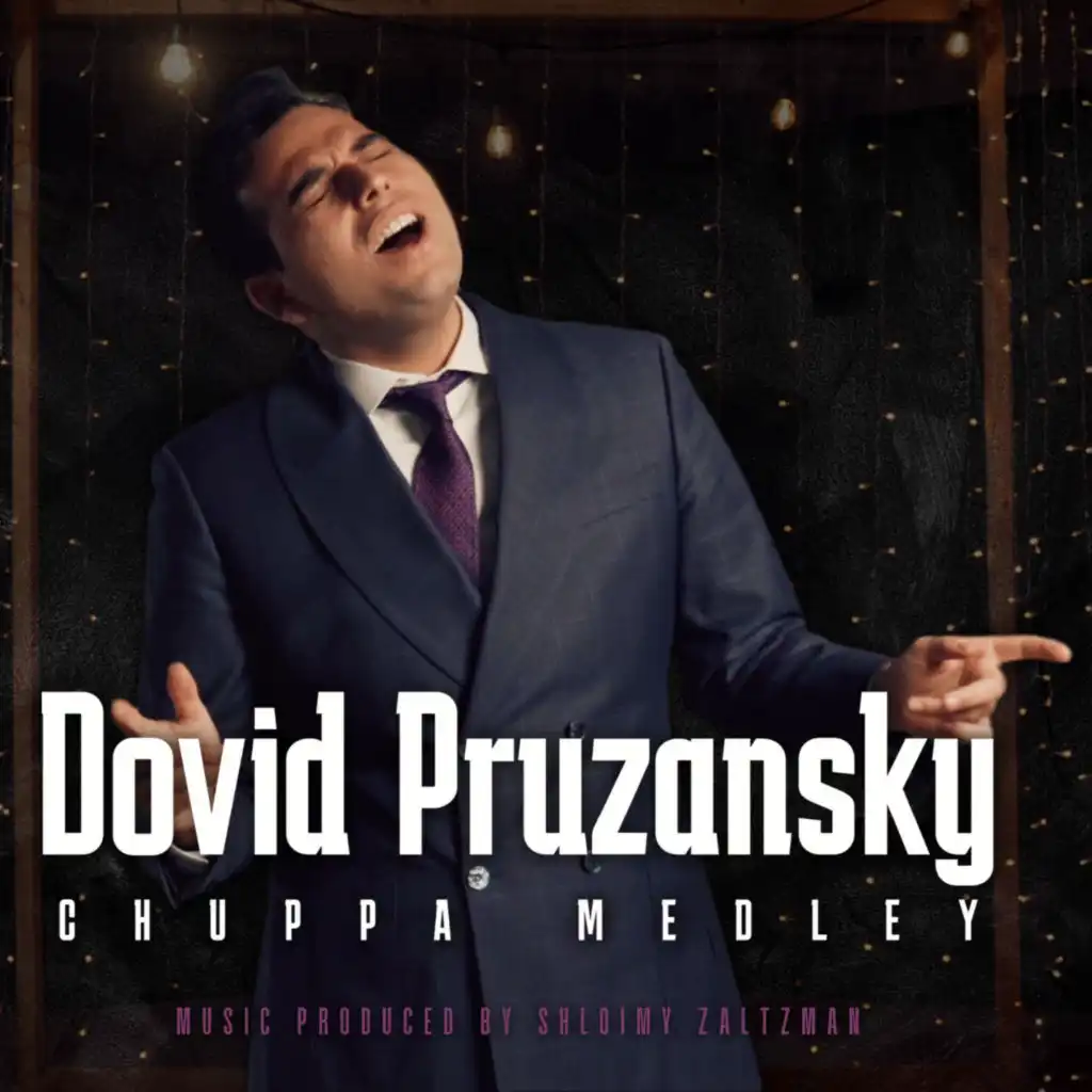 Dovid Pruzansky