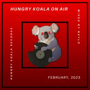 Hungry Koala