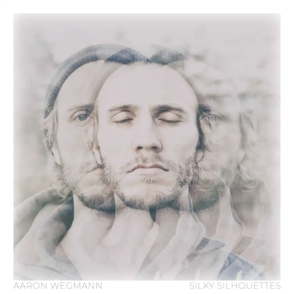 Aaron Wegmann