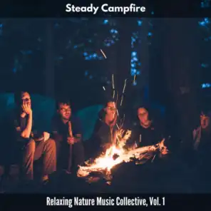 Campfire Bliss Music
