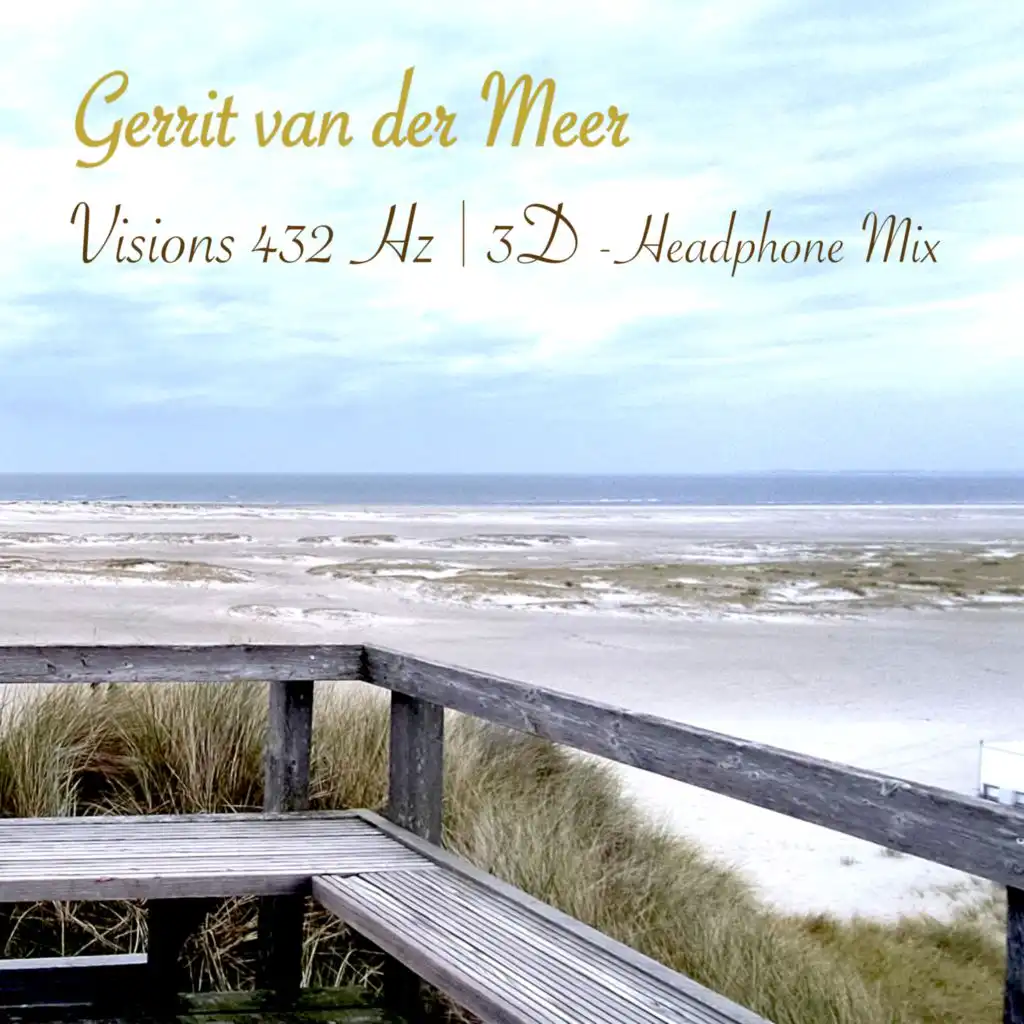 Gerrit van der Meer