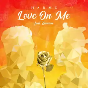 Love on Me (feat. Zamani)