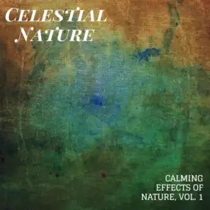 Celestial Nature - Calming Effects of Nature, Vol. 1