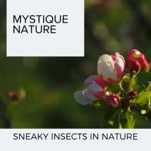 Mystique Nature - Sneaky Insects in Nature