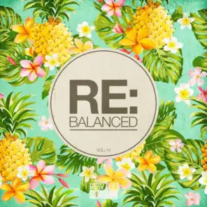 Re:Balanced, Vol. 14