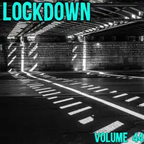 Lock Down Vol. 44