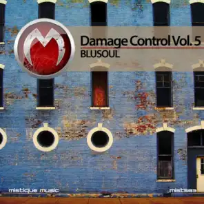 Damage Control, Vol. 5