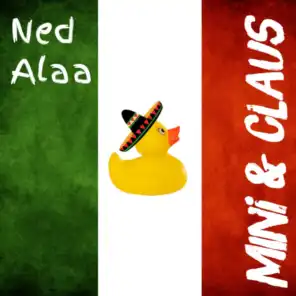 Ned Alaa
