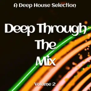 Deep Through the Mix, Vol. 2
