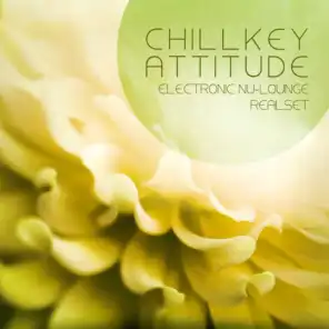Chillkey Attitude (Electronic Nu-Lounge Realset Rebuild)
