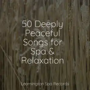 50 Deeply Peaceful Songs for Spa & Relaxation