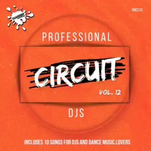Professional Circuit Djs Compilation, Vol. 12
