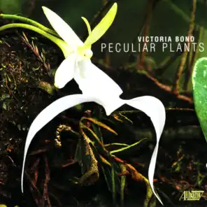 Peculiar Plants: Creeping Moss