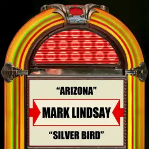 Arizona / Silver Bird