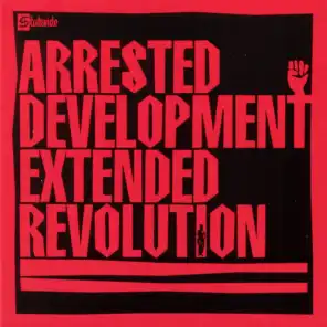 Extended Revolution