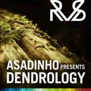 Asadinho Presents Dendrology