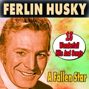 A Fallen Star (15 Wonderfull Hits And Songs)