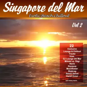 Singapore del Mar, Vol. 2 (Exotic Beach  Chillout)
