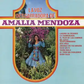 La Voz Desgarradora de Amalia Mendoza