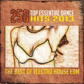250 Top Essential Dance Hits 2013 (The Best of Electro House Edm)