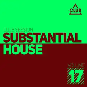 Substantial House, Vol. 17