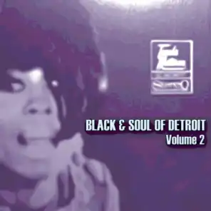 Black & Soul of Detroit, Volume 2