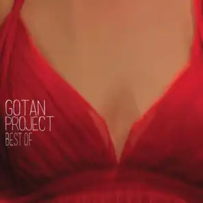 Best of Gotan Project