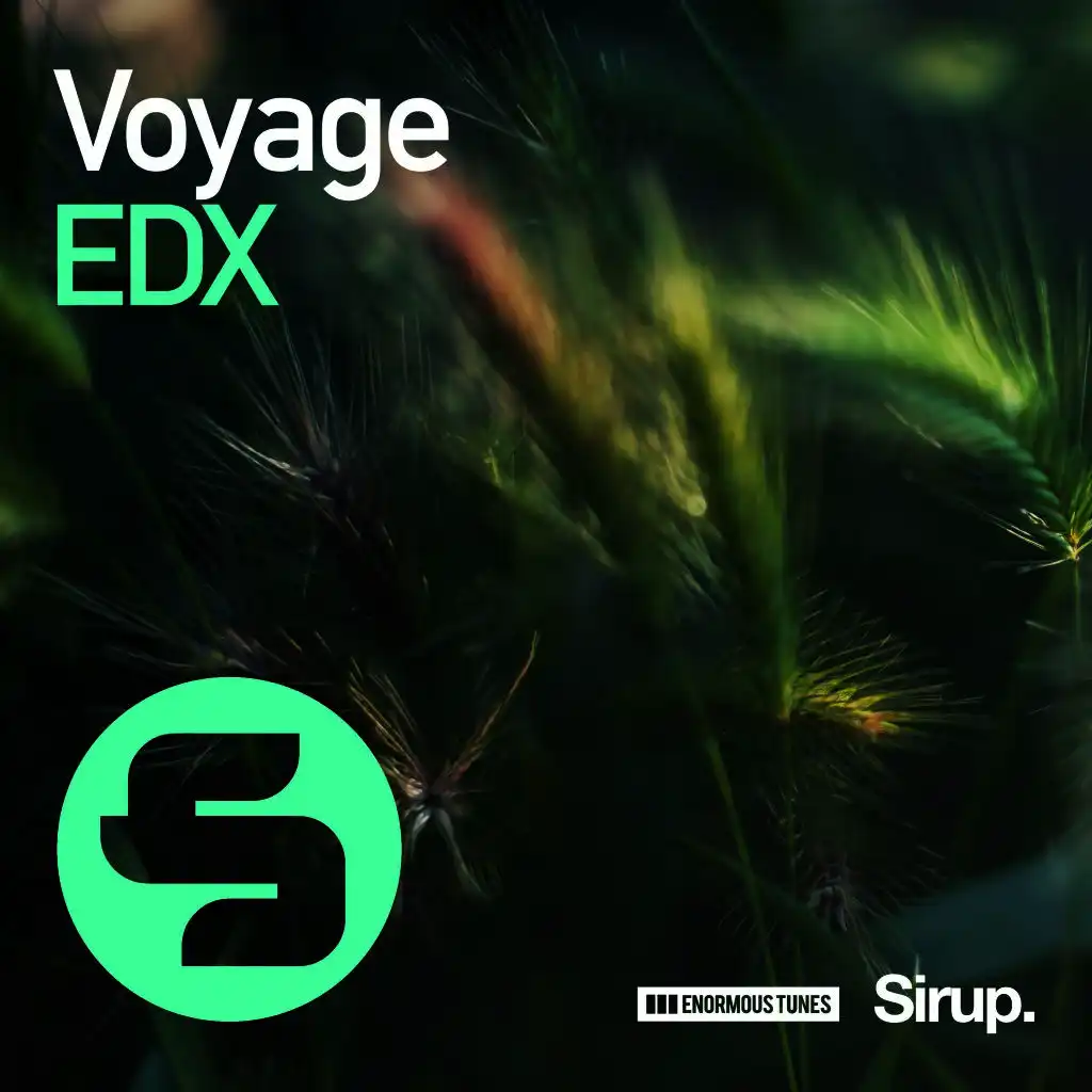 Voyage