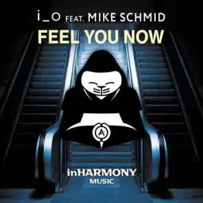 Feel You Now (feat. Mike Schmid)