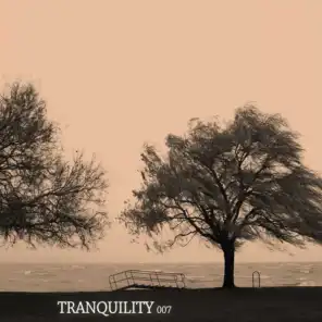 Tranquility 007